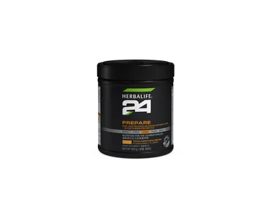 速備 24 - 熱帶芒果