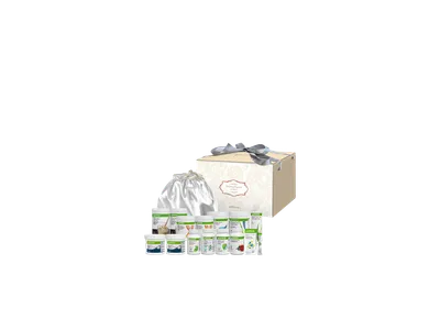 신부를 위한 웨딩프로그램