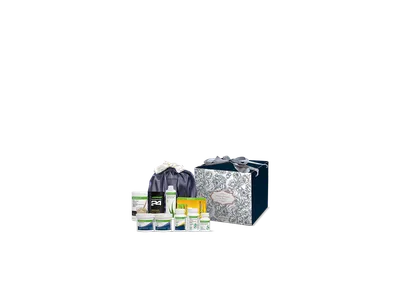 신랑을 위한 웨딩프로그램