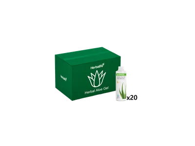 알로에 500 프로그램 - 망고